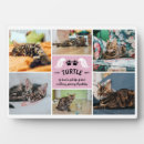 Recherche de mémorial chat plaques Modèle