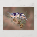 Recherche de pinecone cartes postales Forêt