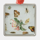 Recherche de insectes ornements Papillon