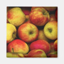 Recherche de pomme d carrés magnets Fruit