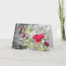 Recherche de floraison photographie Été