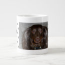 Recherche de empreintes de pattes tasses Toute personne