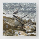 Recherche de mouettes horloges Mer