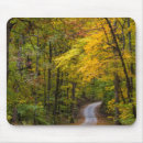 Recherche de dur bord Automne