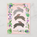 Recherche de chou fleur cartes postales Jardin