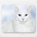 Recherche de angora tapis souris Minou