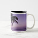 Recherche de cocotiers tasses Océan