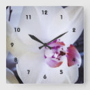 Recherche de orchidée blanche horloges Floral