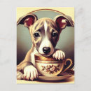 Recherche de whippet cartes postales Chiot