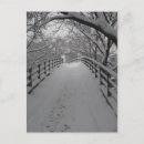 Recherche de scène tranquille cartes postales Arbre nu