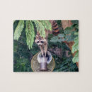 Recherche de raccoon puzzles Casse tête raccoon