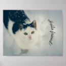 Recherche de chat noir et blanc art Animal de compagnie