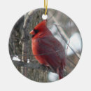 Recherche de chanson photographie Rouge