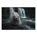Recherche de ours blancs posters Contenu générationnel