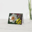 Recherche de daffodil remerciements cartes Floral
