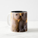 Recherche de bleu russe tasses Chaton