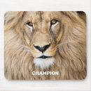 Recherche de lion sauvage tapis souris Faune