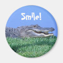 Recherche de reptile magnets Nature
