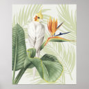Recherche de feuille tropical posters Feuillage