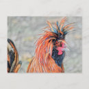 Recherche de déprimé cartes postales Plumes