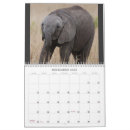 Recherche de leopard calendriers Éléphant