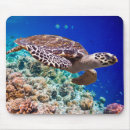 Recherche de tortue mer tapis souris Bleu