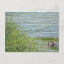 Recherche de canard bleu cartes postales Eau