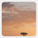 Recherche de solitude autocollants Extérieur