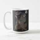 Recherche de chatons gris tasses Toute personne