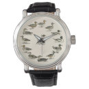 Recherche de canards montres Oiseaux