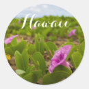 Recherche de kauai hawaii autocollants Décomposition