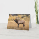 Recherche de bourrage vœux cartes Antlers