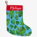 Recherche de plantes chaussette de noël Jardin