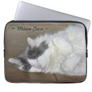 Recherche de chat gris coques Mignonette