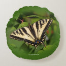 Recherche de beaux papillons coussins Insecte