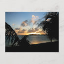 Recherche de sint maarten cartes postales Palmiers