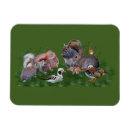 Recherche de bois magnets Chipmunk