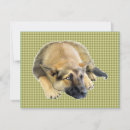 Recherche de allemands invitations Chiot