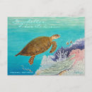 Recherche de tortues cartes postales Océan