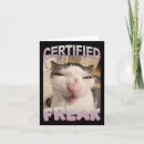Recherche de humour femme vœux cartes Femme de chat