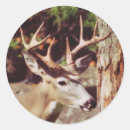 Recherche de photo numérique autocollants Animal
