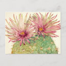 Recherche de cartes postales Rose