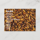 Recherche de nourriture frite cartes visite Pour tous