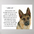 Recherche de german shepherd art Canine