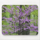 Recherche de floraison tapis souris États unis