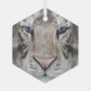Recherche de tête de tigre ornements Animal sauvage