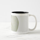 Recherche de fraîcheur tasses Tir