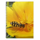 Recherche de hoverfly sur la fleur Insecte