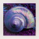 Recherche de coquillages tropicaux puzzles Plage