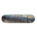 Recherche de alaska skateboards Ciel